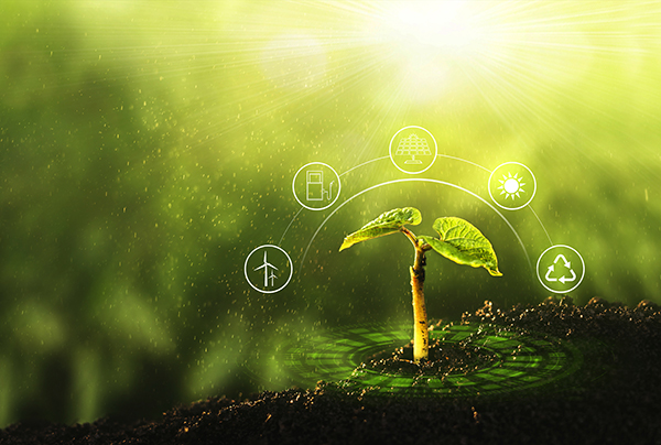 Übersetzungen für die Umwelt